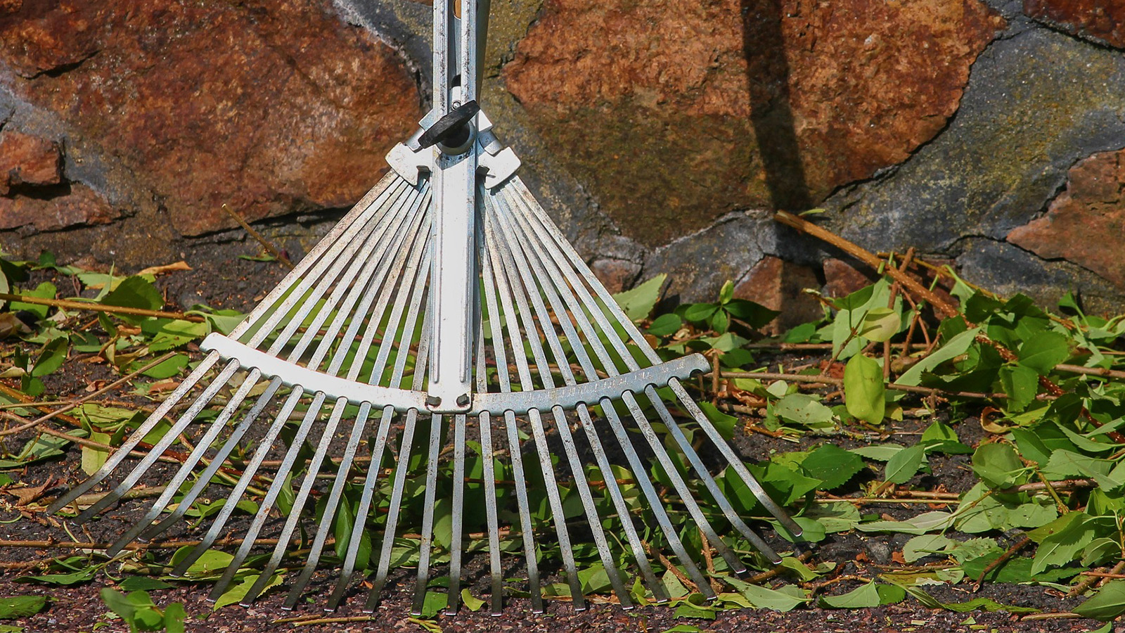 Northeim putzt sich: Frühjahrsaktion am 6. und 7. März 2026 angekündigt