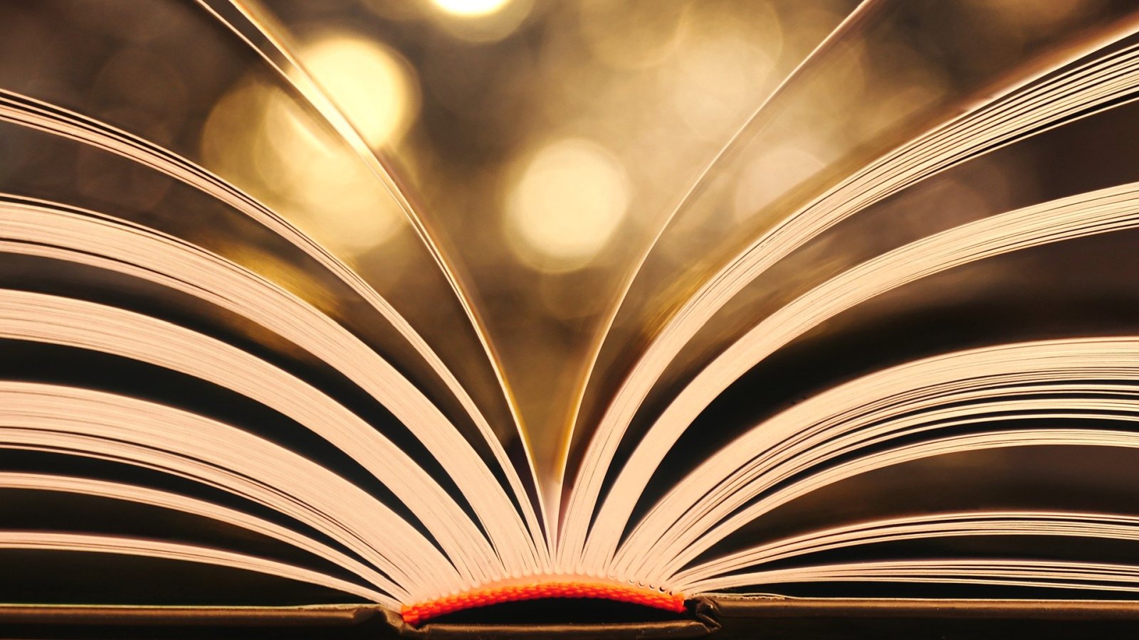 Helgard Haug liest aus ihrem Romandebüt „All right. Good night.“ in der Neuen Schauburg Northeim